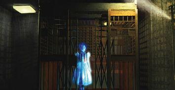 真实的捉鬼游戏在线观看,揭秘真实捉鬼游戏惊心动魄的在线直播  第1张