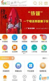 林州爆料新闻网站最新,聚焦民生热点，揭示社会现象  第1张